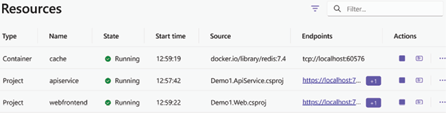 图 2.1：带有资源视图的 .NET 仪表板